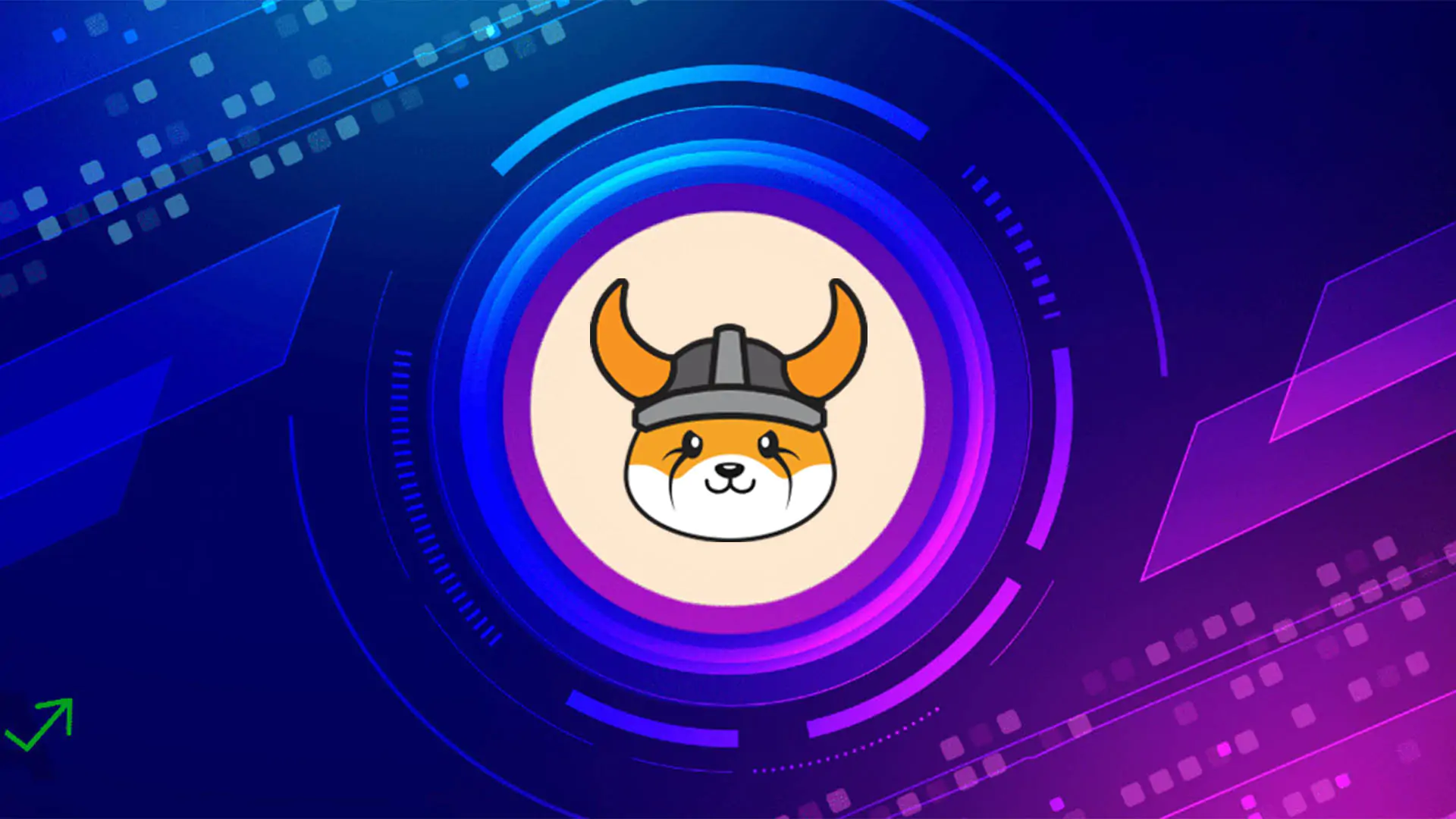 What is Floki Inu Coin?