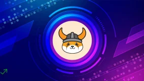 What is Floki Inu Coin?